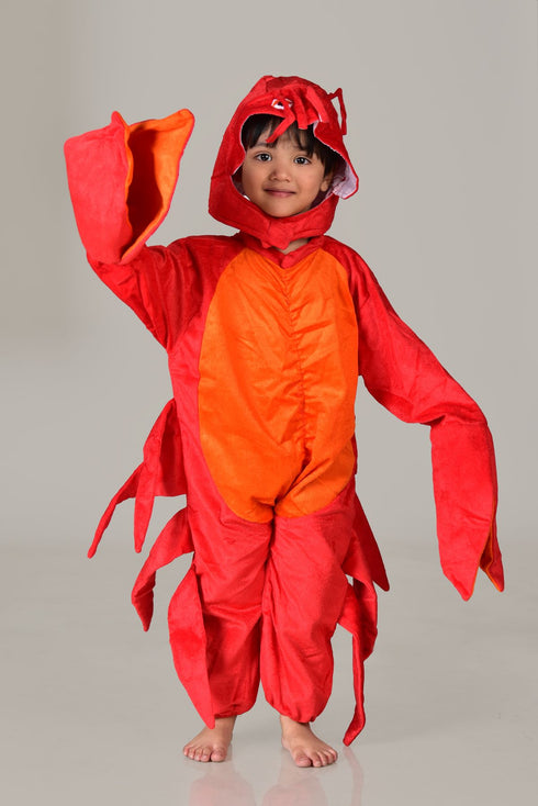 BookMyCostume Crab Aquatic Animal  Kids Fancy Dress Costume